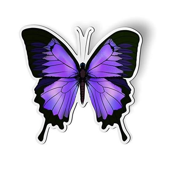 Kelebekli Magnet
