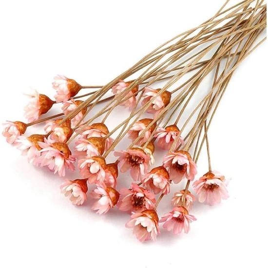 Kuru Çiçek Aranjmanları