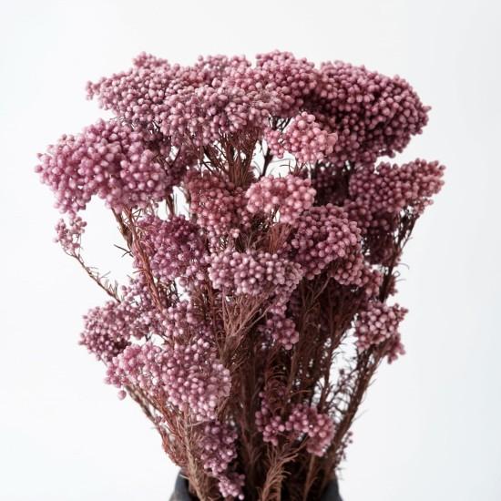 Kuru Çiçek Aranjmanları