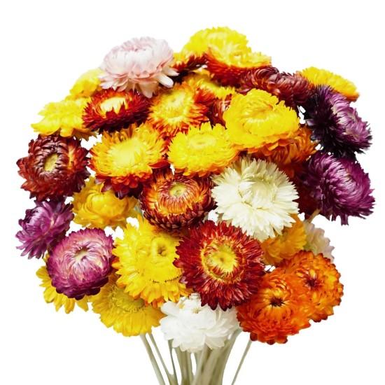 Kuru Çiçek Aranjmanları