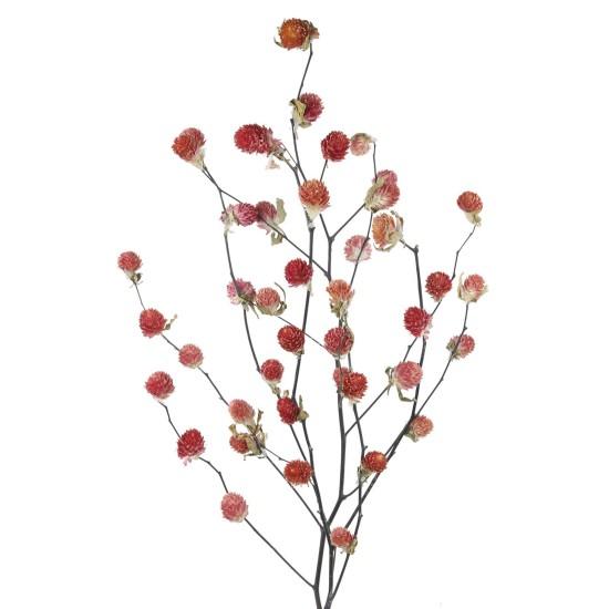 Kurutulmuş Dal