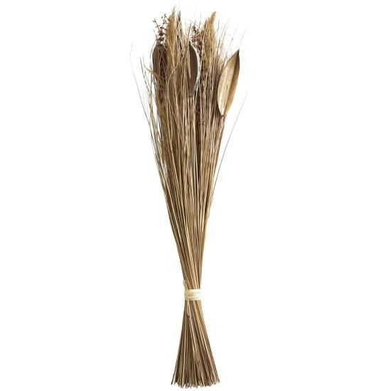 Kurutulmuş Dal