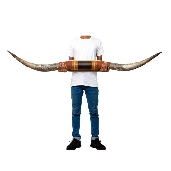 Manda Boynuzu Dekor