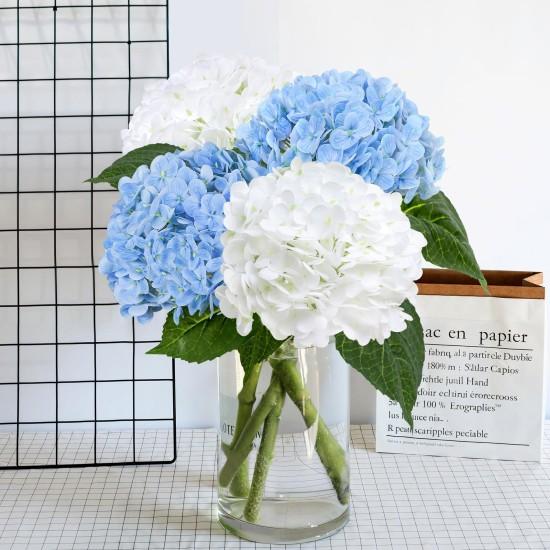 Mavi Ortanca Çiçeği