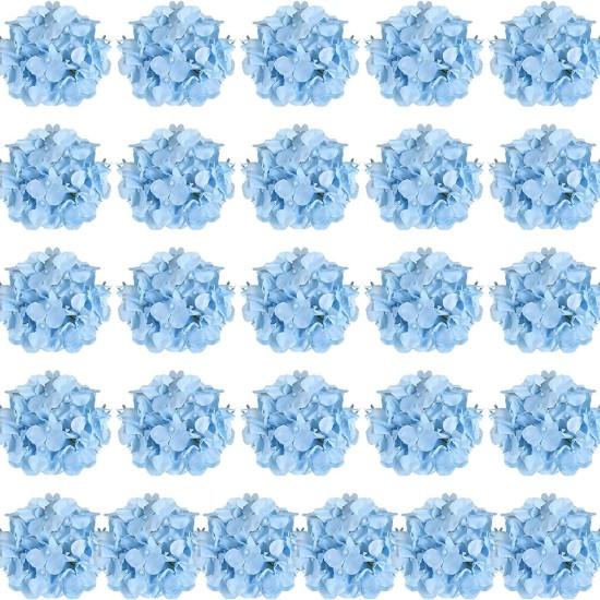 Mavi Ortanca Çiçeği