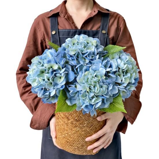 Mavi Ortanca Çiçeği