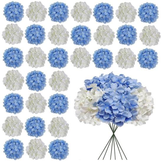 Mavi Ortanca Çiçeği