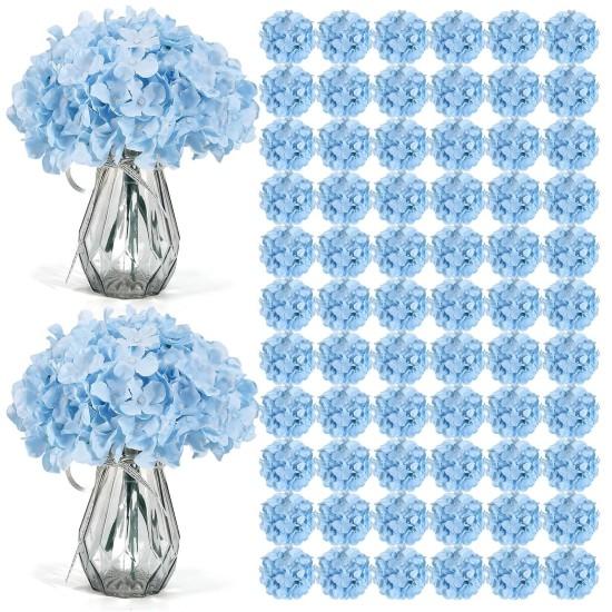 Mavi Ortanca Çiçeği