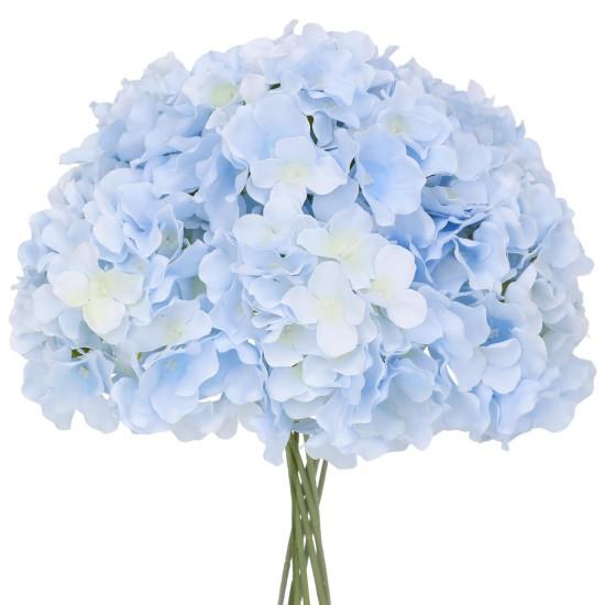 Mavi Ortanca Çiçeği