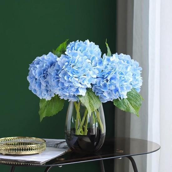 Mavi Ortanca Çiçeği