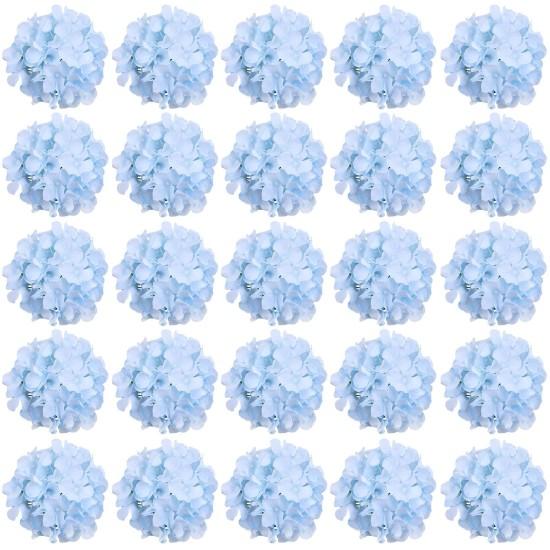 Mavi Ortanca Çiçeği