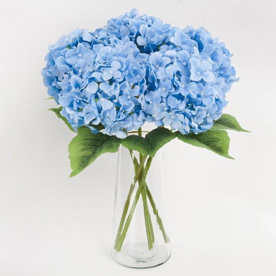 Mavi Ortanca Çiçeği