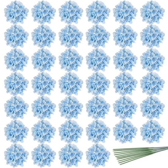 Mavi Ortanca Çiçeği