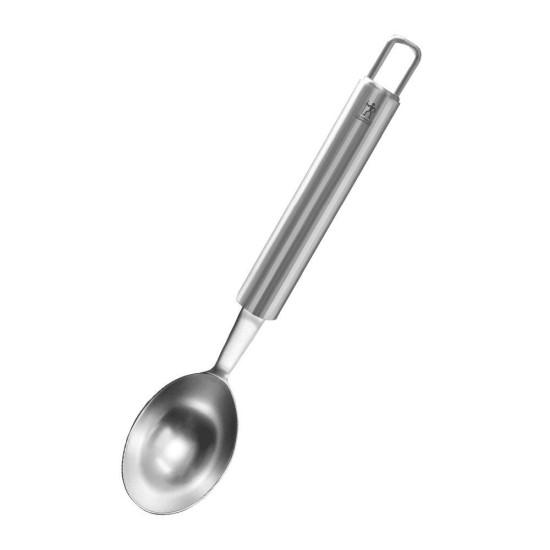 Metal Dondurma Kaşığı