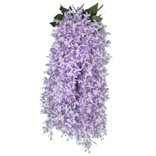 Mor Çiçekli Sarmaşık