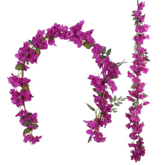 Mor Çiçekli Sarmaşık