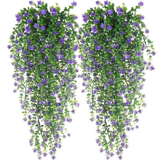 Mor Çiçekli Sarmaşık