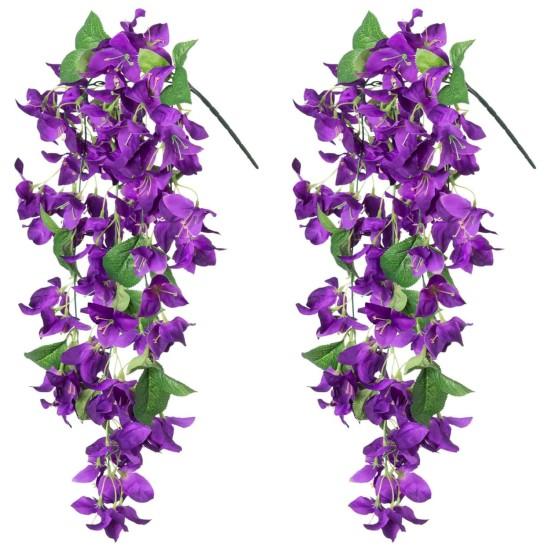 Mor Çiçekli Sarmaşık