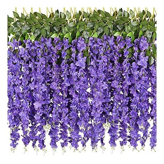 Mor Çiçekli Sarmaşık