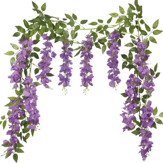 Mor Çiçekli Sarmaşık