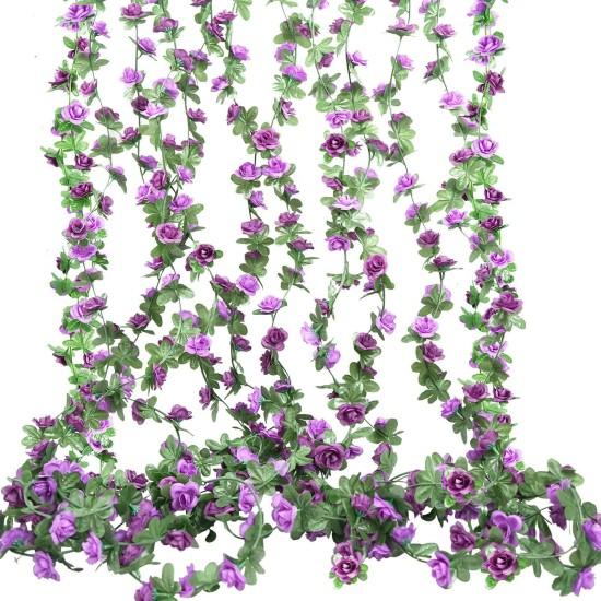 Mor Çiçekli Sarmaşık