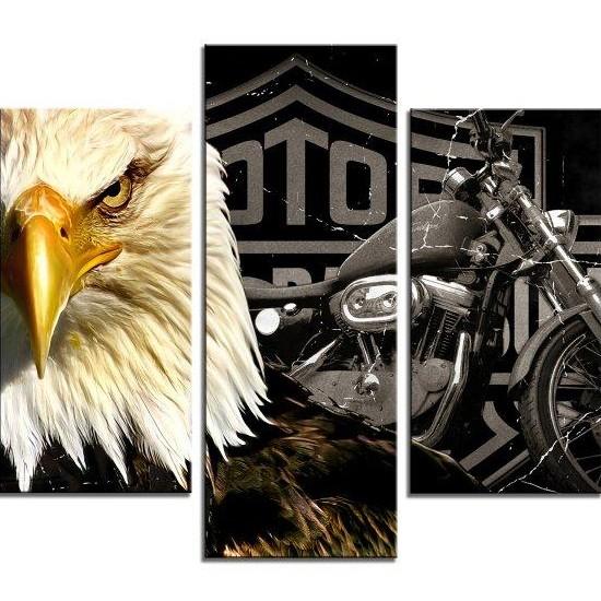 Motosiklet Tabloları