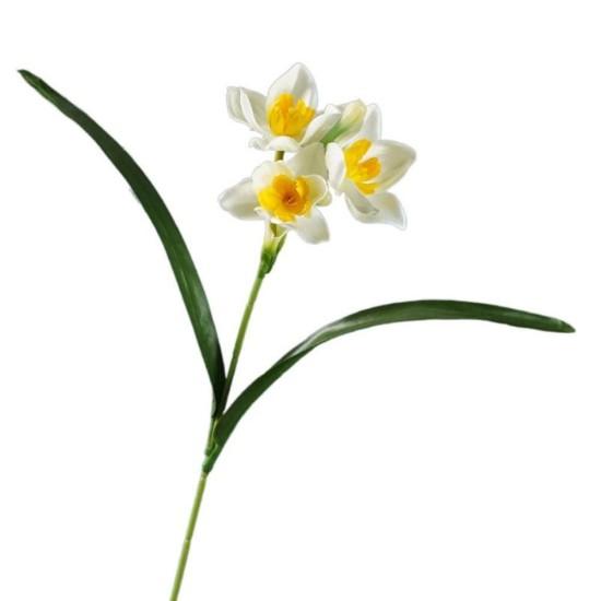 Nergis Çiçeği Buketi