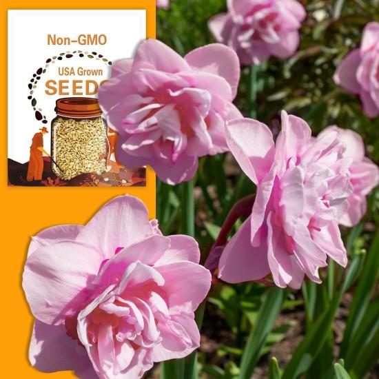 Nergis Çiçeği Buketi