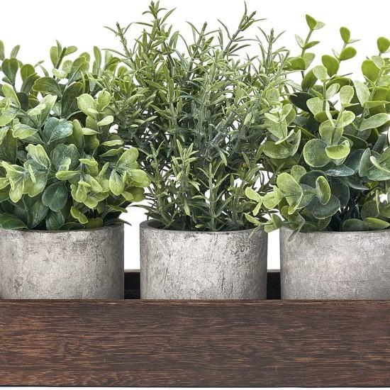 Orta Sehpa Çiçekleri