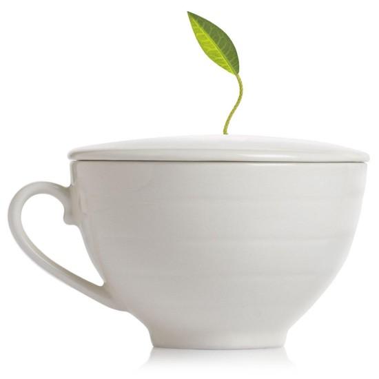Porselen Çay Fincanı