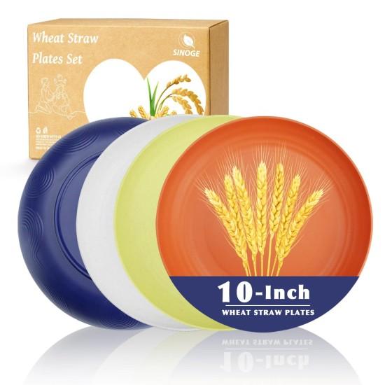 Renkli Yemek Tabağı