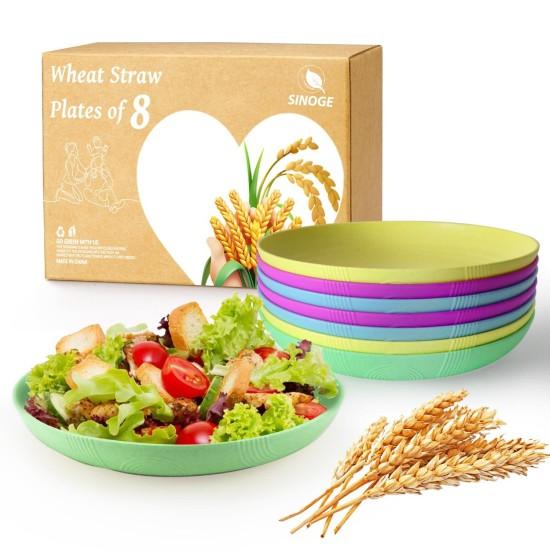 Renkli Yemek Tabağı