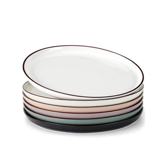 Renkli Yemek Tabağı