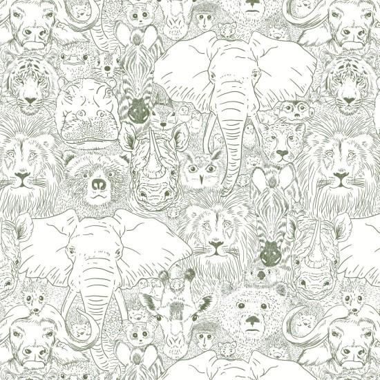 Safari Duvar Kağıdı