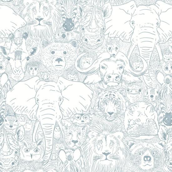 Safari Duvar Kağıdı