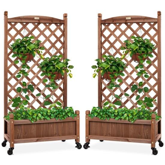 Seperatörlü Saksı