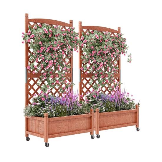 Seperatörlü Saksı