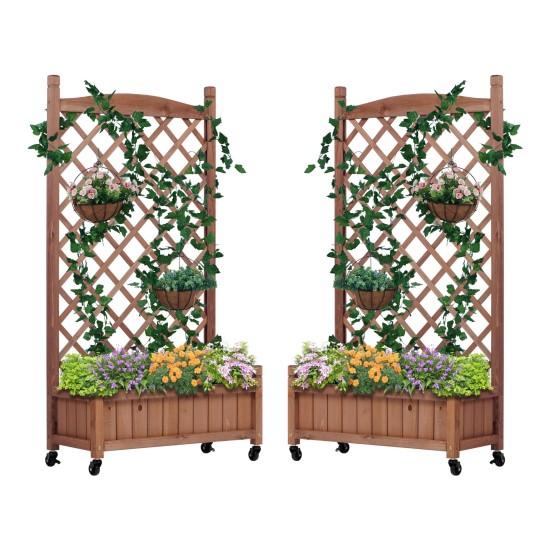 Seperatörlü Saksı