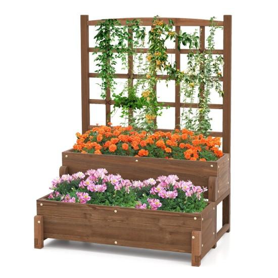 Seperatörlü Saksı