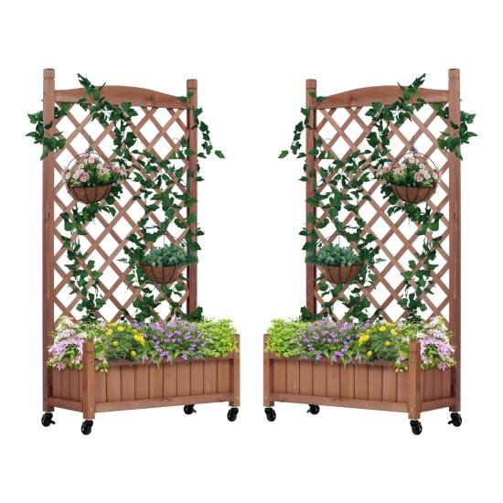 Seperatörlü Saksı