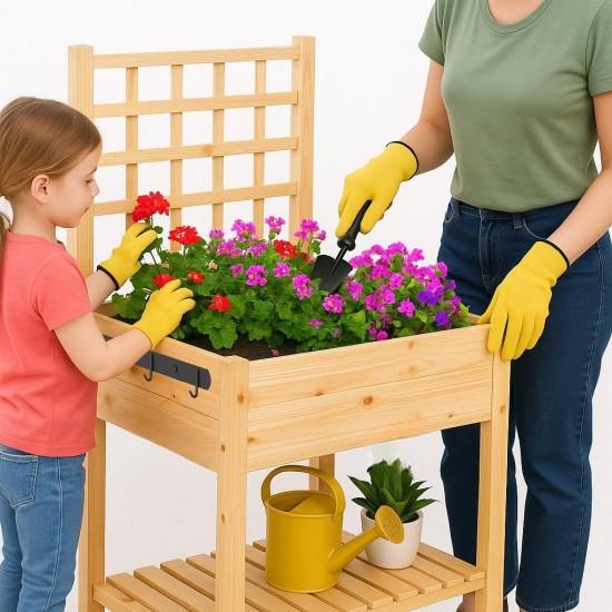 Seperatörlü Saksı