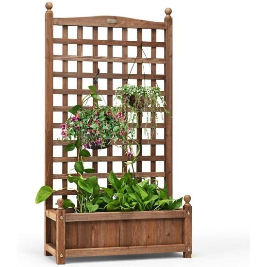 Seperatörlü Saksı