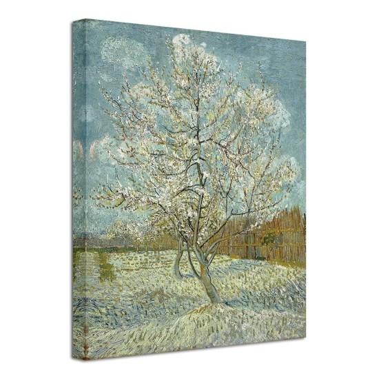 Van Gogh Tabloları