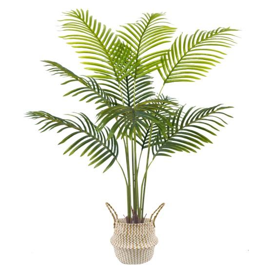 Yapay Areka Palmiyesi