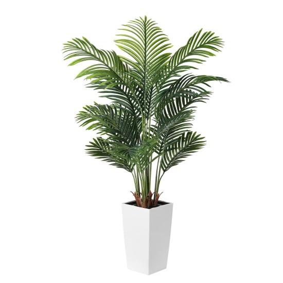 Yapay Areka Palmiyesi