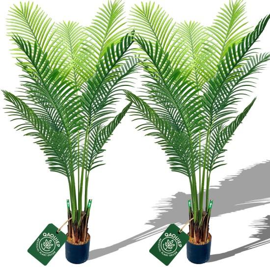 Yapay Areka Palmiyesi