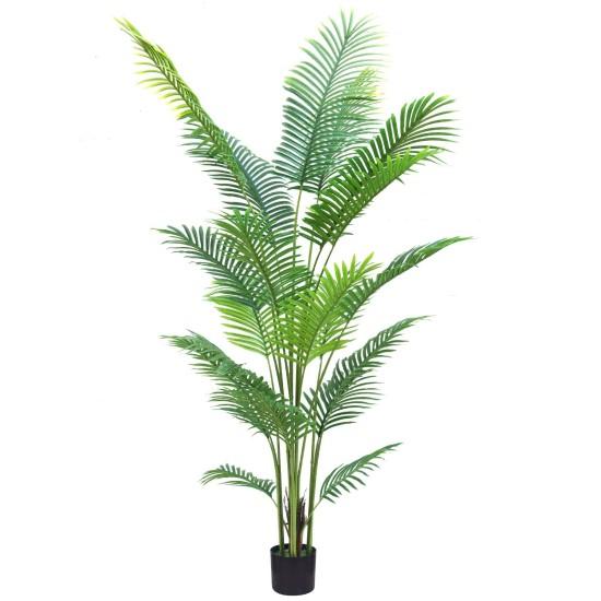 Yapay Areka Palmiyesi