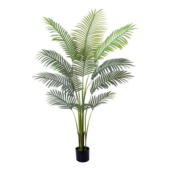 Yapay Areka Palmiyesi