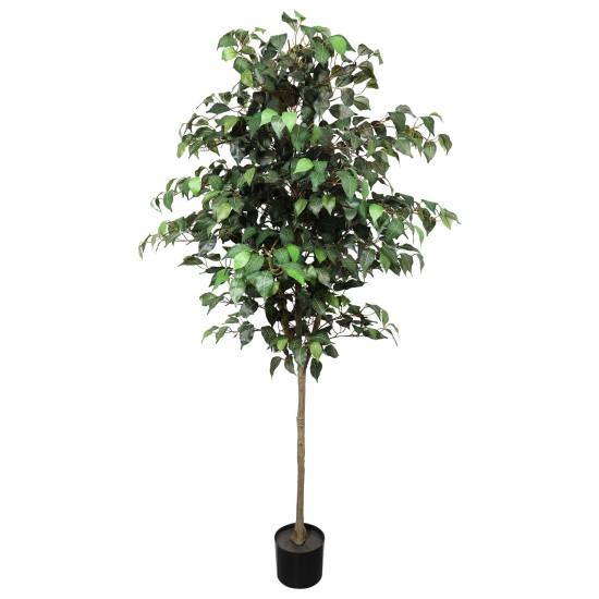 Yapay Benjamin Ağacı