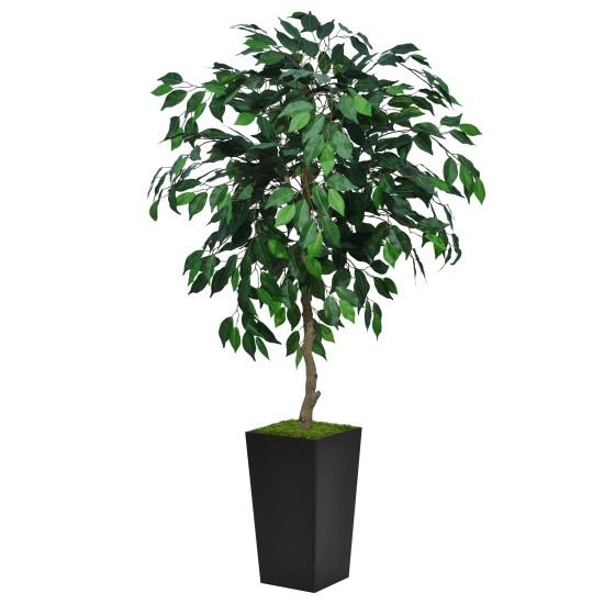 Yapay Benjamin Ağacı